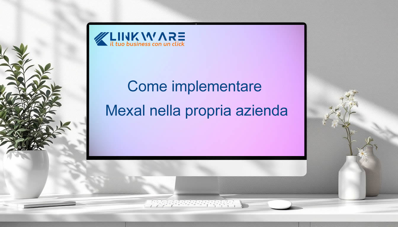 Come implementare Mexal nella propria azienda IMG