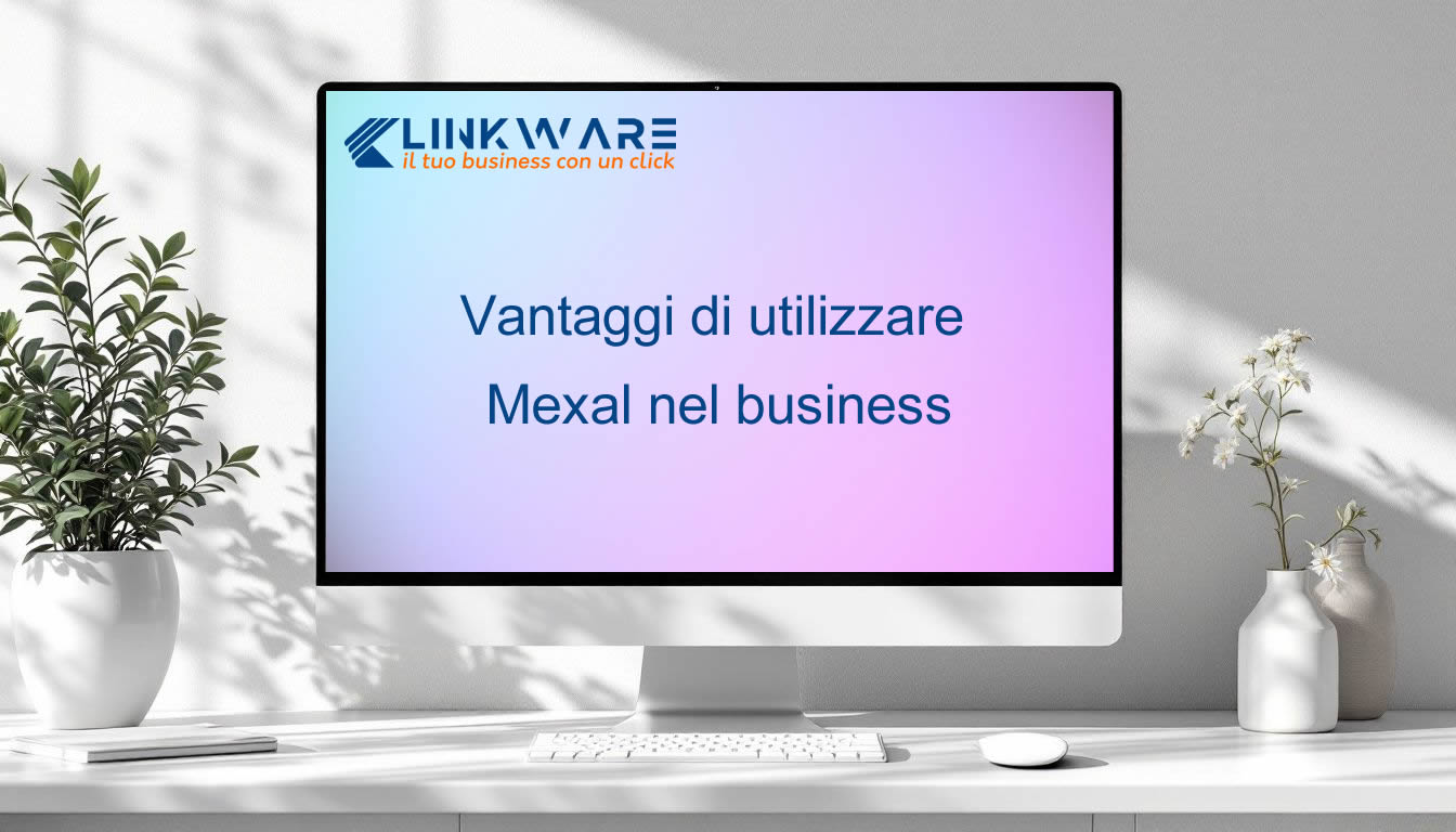 Vantaggi di utilizzare Mexal nel business IMG