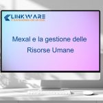 Mexal e la gestione delle risorse umane img